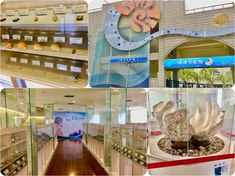 旗津貝殼館展示