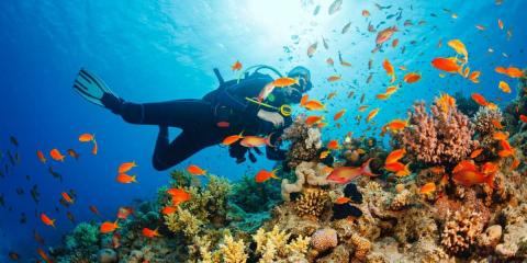 潛水與沙灘體驗